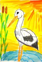 Gajdošíková Adriana.jpg